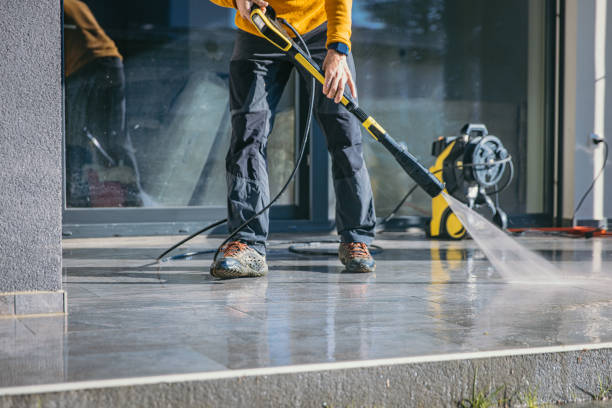 Animal Enclosure Cleaning in Zephyrhills West, FL