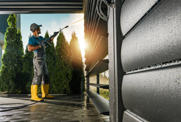 Best Soft Washing  in Zephyrhills West, FL